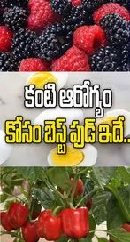 కంటి ఆరోగ్యం కోసం బెస్ట్ ఫుడ్ ఇదే..